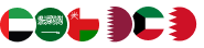 Dubizzle_flags